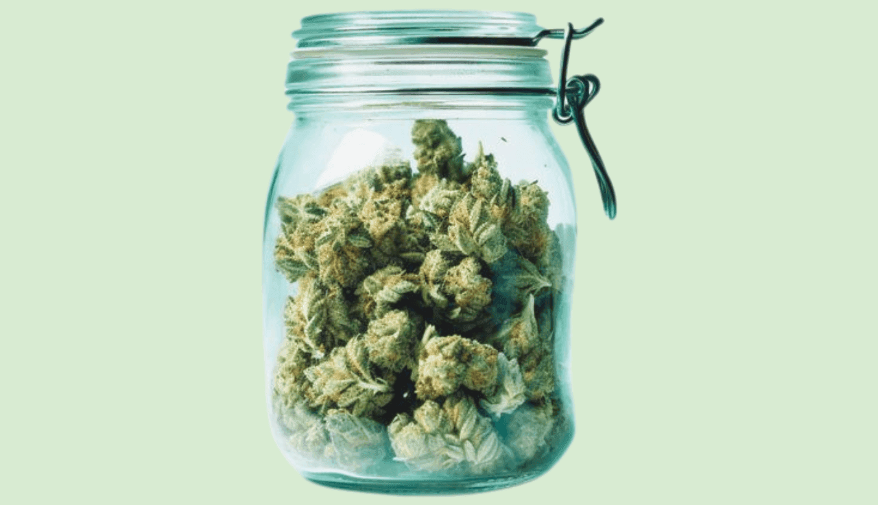 Glasbehälter mit Cannabisblüten